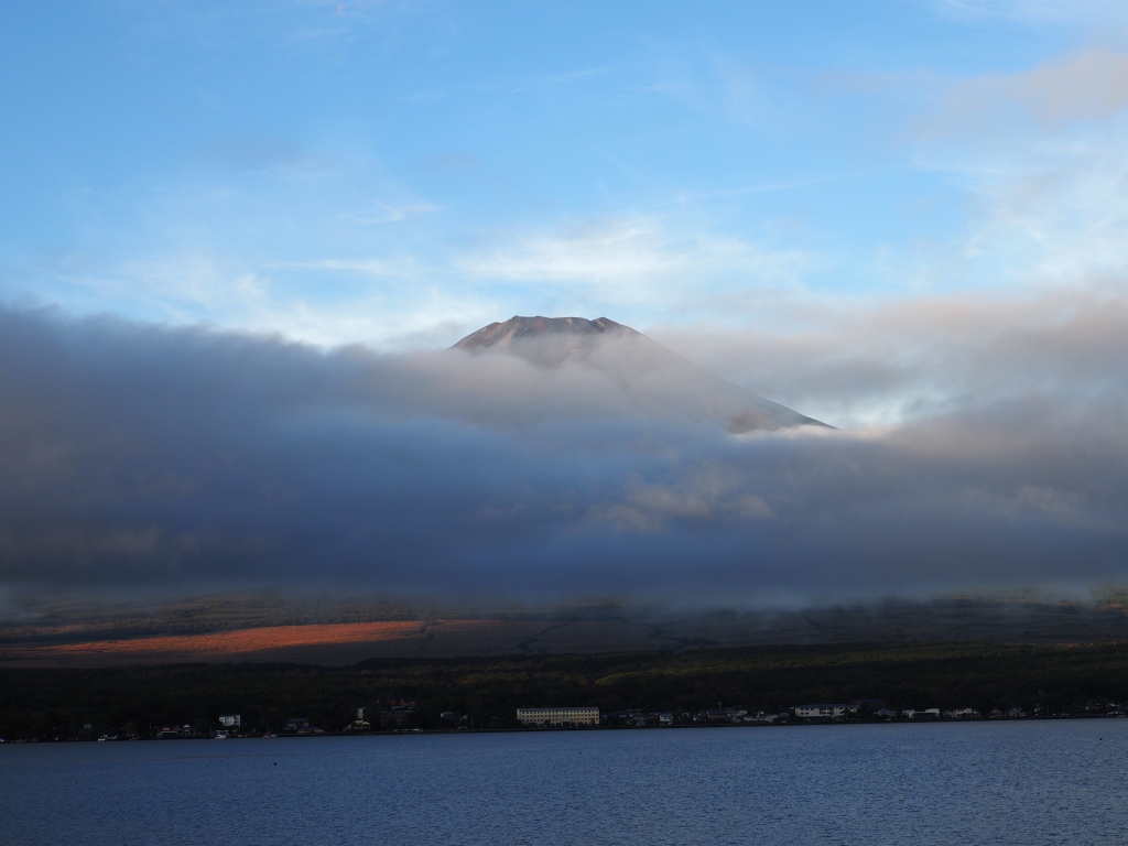 10/19 ��u�̕x�m�R