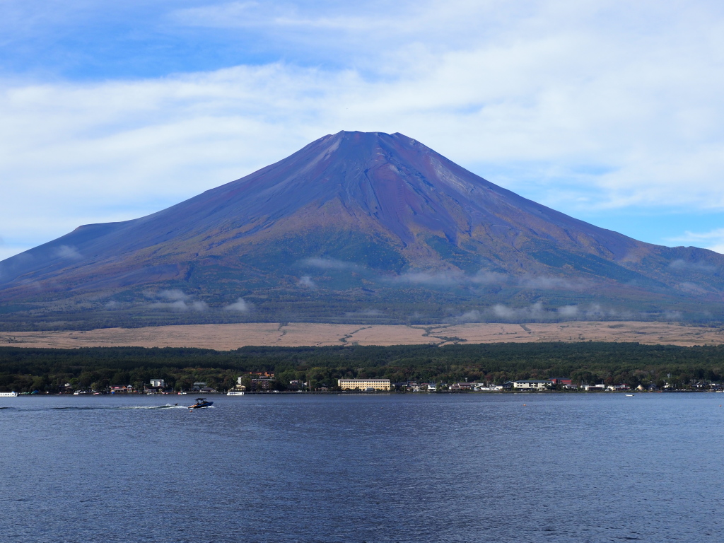 10/19 �Ă̕x�m�R