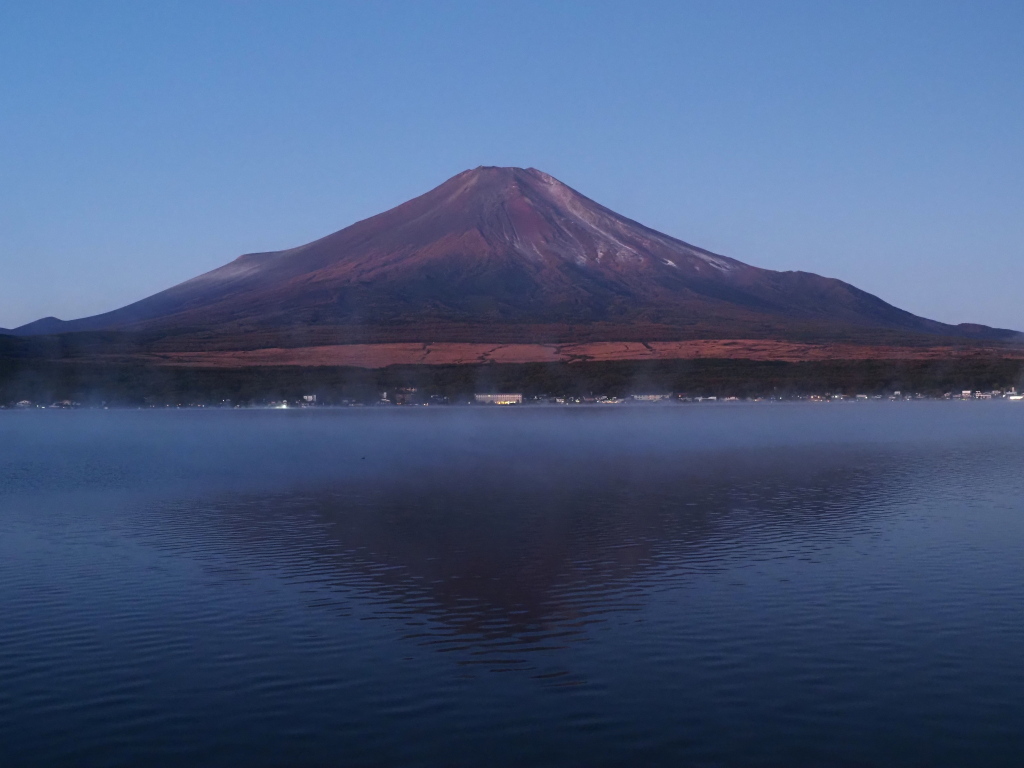 11/7 �t���x�m