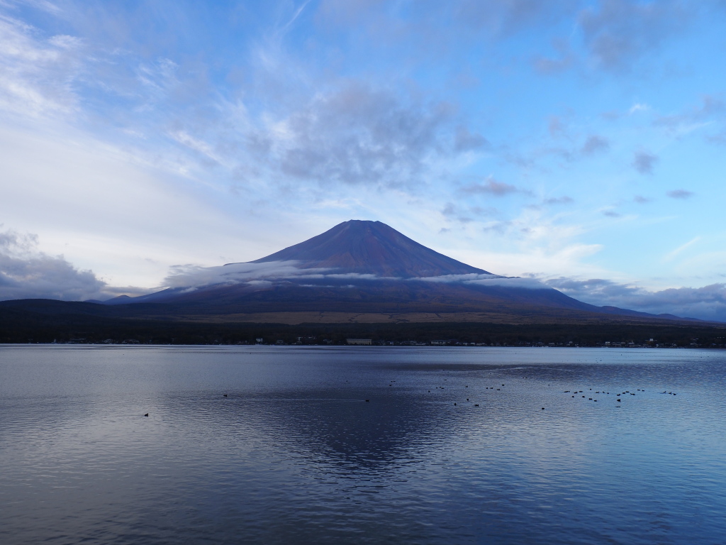 11/8 ��u�̕x�m�R