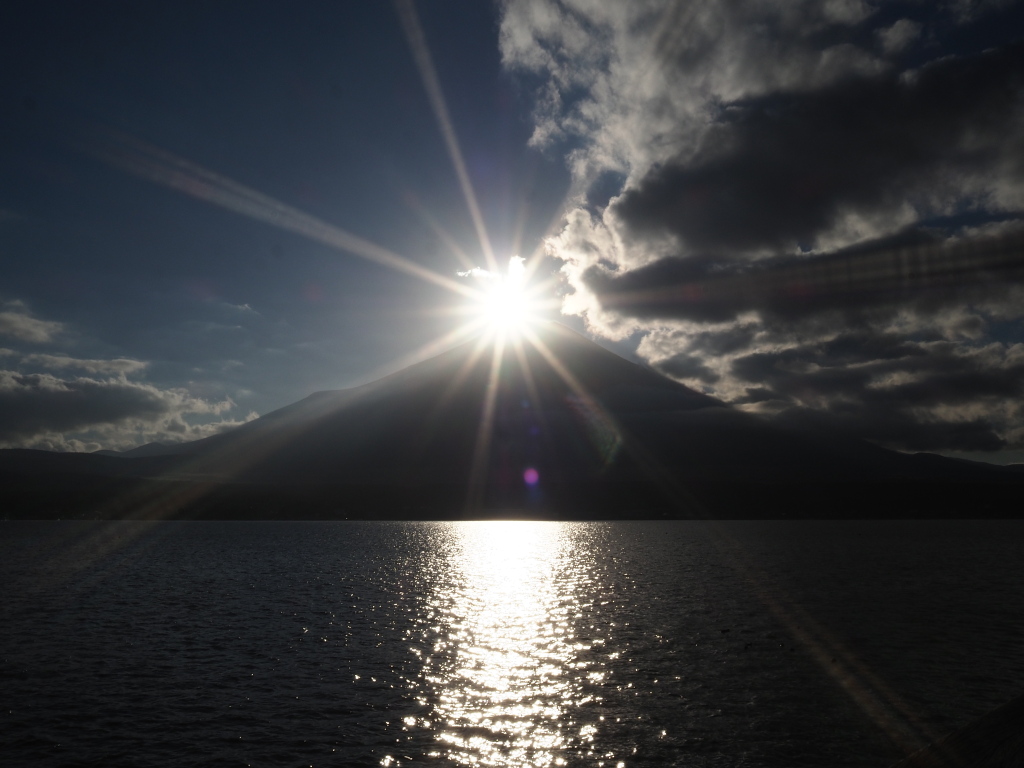 11/8 ������ɒ��ރ_�C�������h�x�m