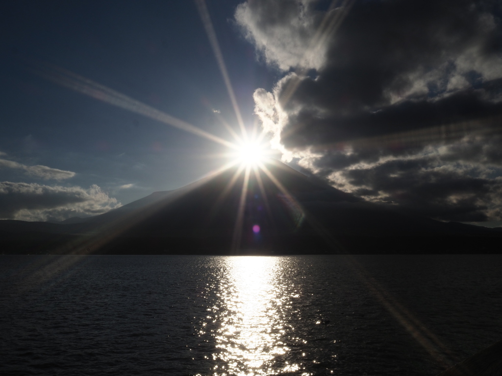 11/8 �����܂Œ���