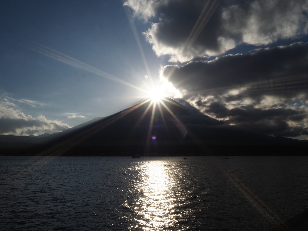 11/8 �_���L����