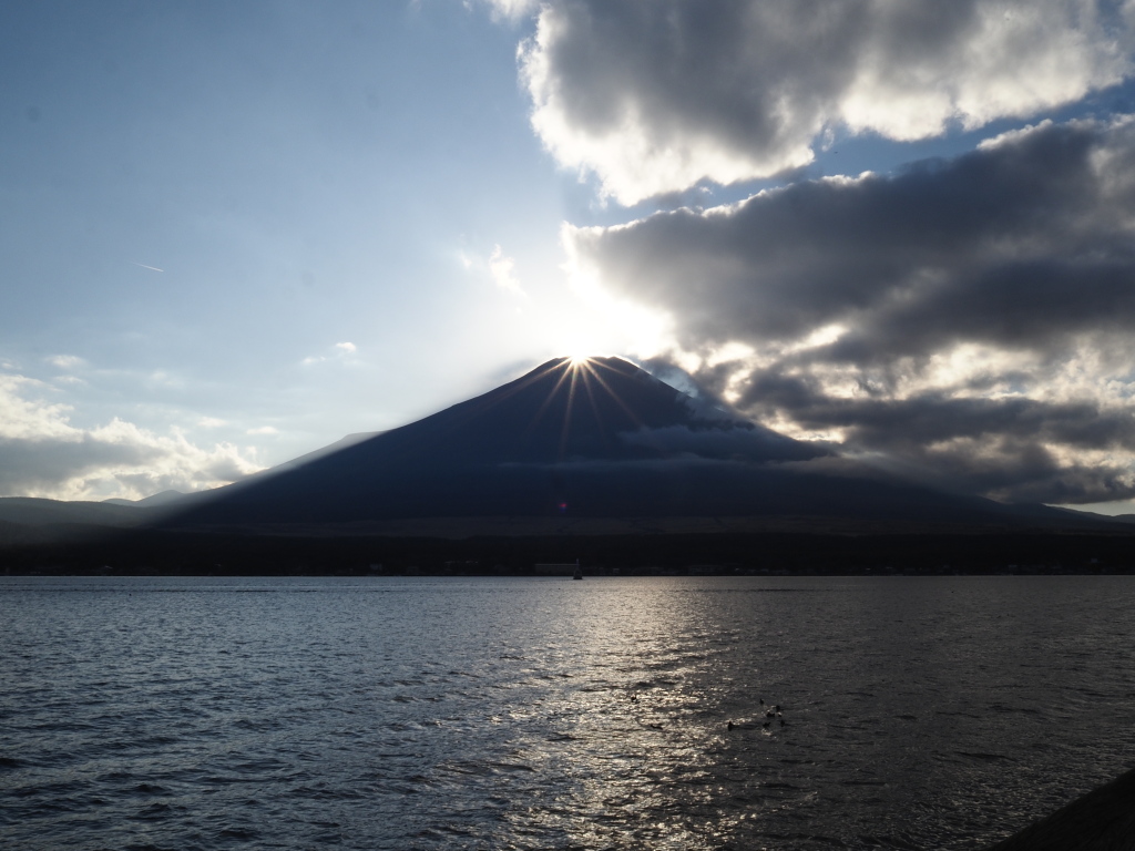 11/8 ���݂܂���