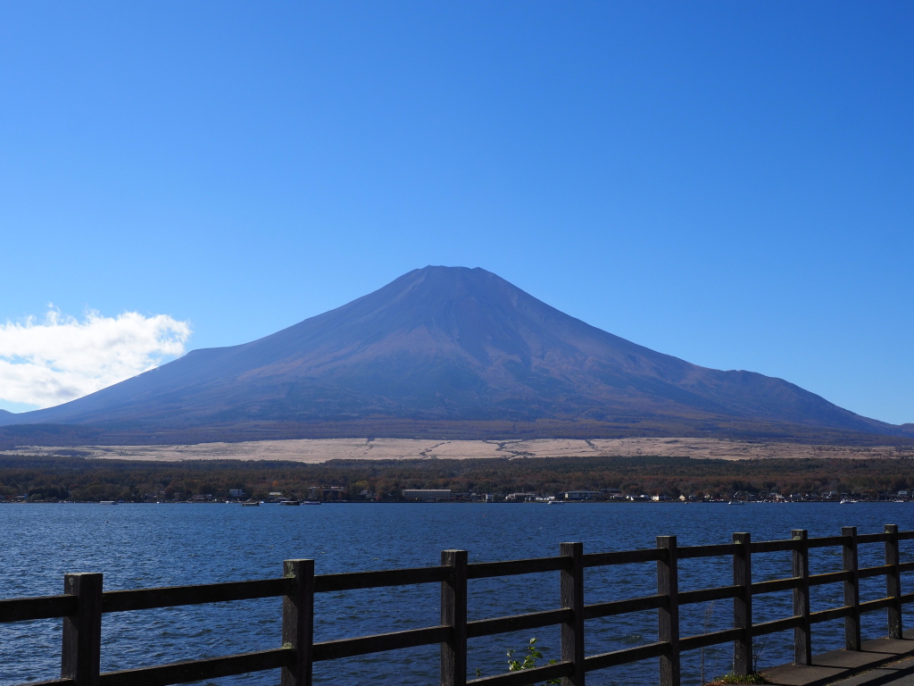 11/9 �Z���L����