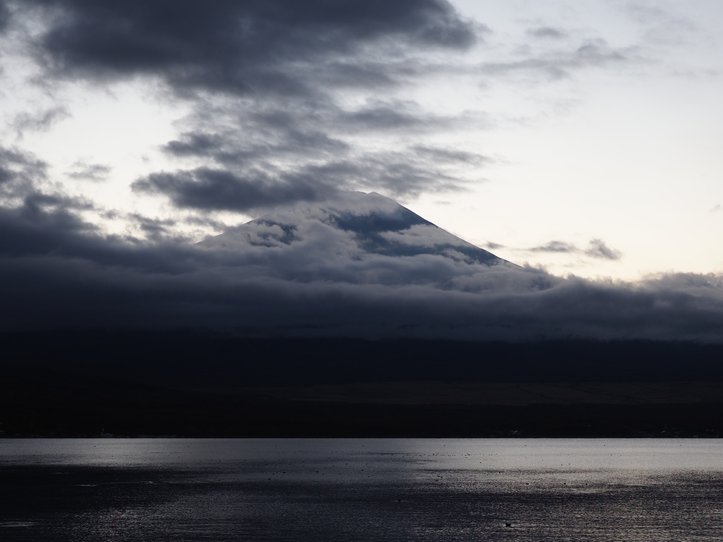 11/19 ��u�̕x�m�R