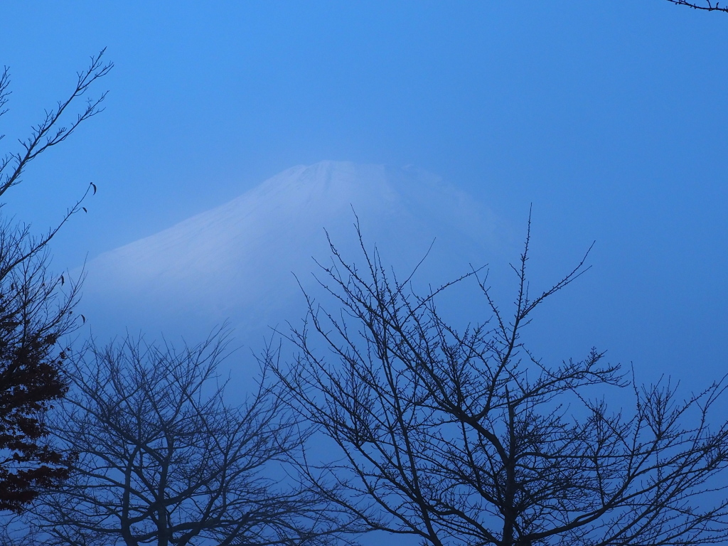 11/22 �����n�߂܂���