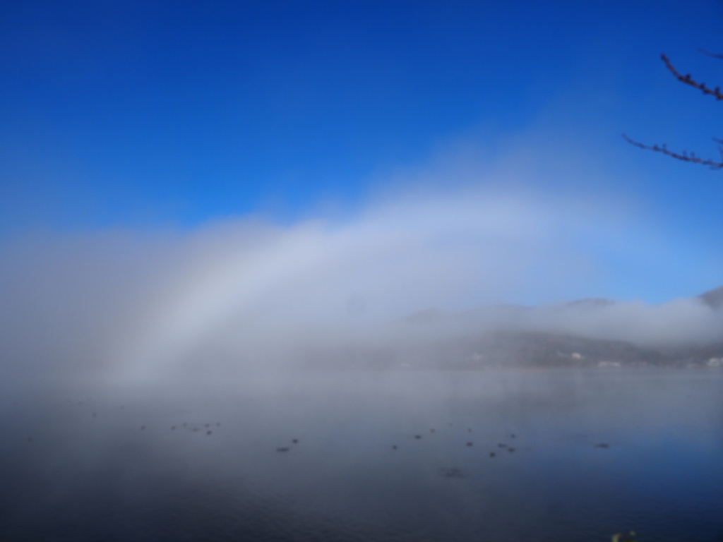 11/22 ������