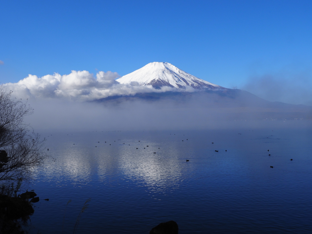 11/22 �t���x�m