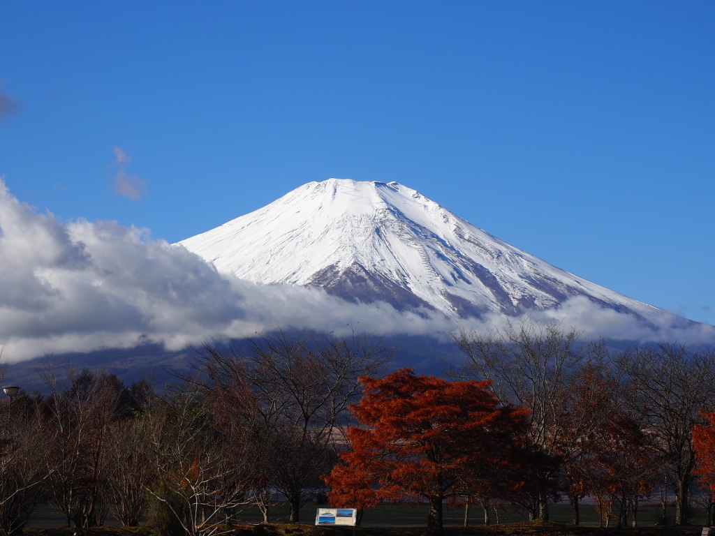 11/22 ���ԏꂩ��̃A�b�v