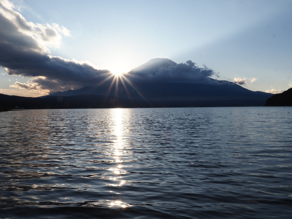 11/22 �Ԃ��Ȃ����̓���