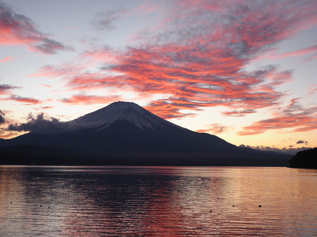 11/22 �[�Ă�(4)