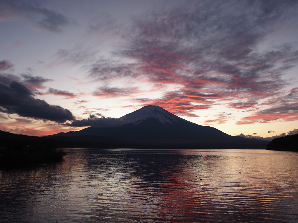 11/22 �[�Ă�(5)