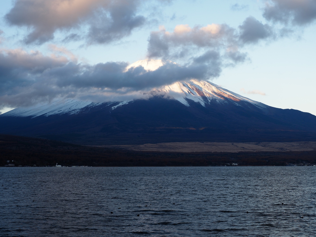 11/23 �ܐ؂�n�߂�