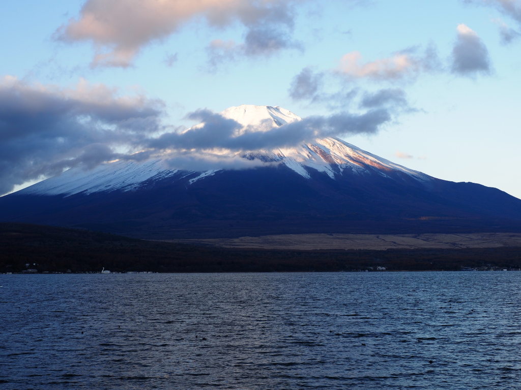 11/23 �R��������