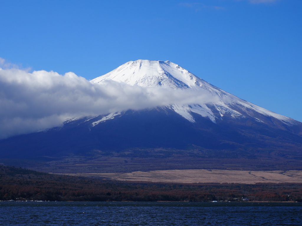 11/23 ����̕x�m�R