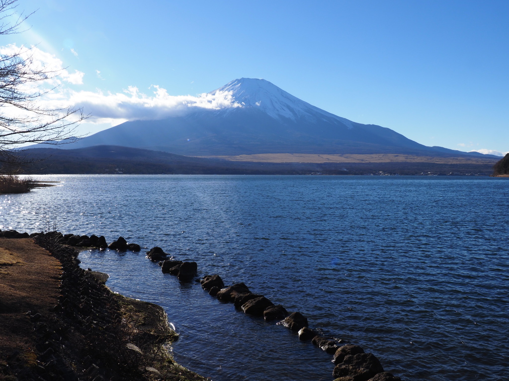 12/15 �R���΂���̕x�m�R