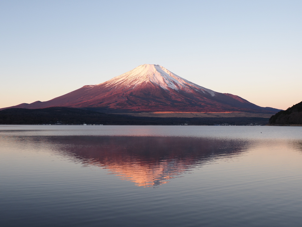 12/16 ���Ă��̋t���g�x�m