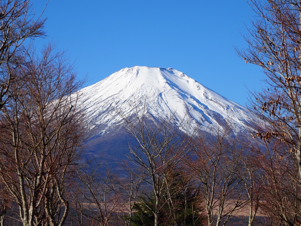 12/16 ���ԏꂩ��̕x�m�R