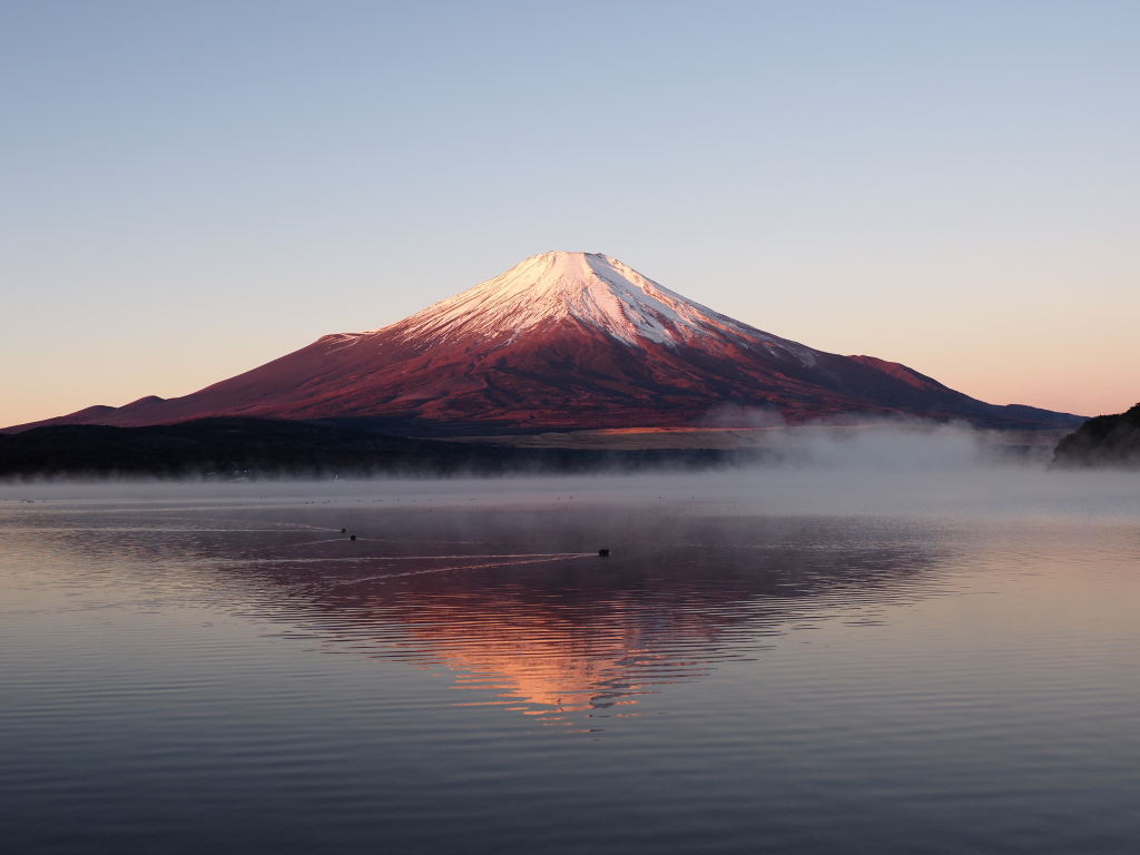 12/17 �ї��Ƌt���g�x�m