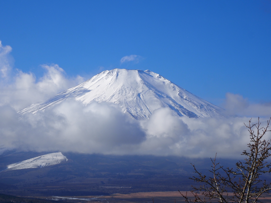 12/19 �����n�߂��x�m�R