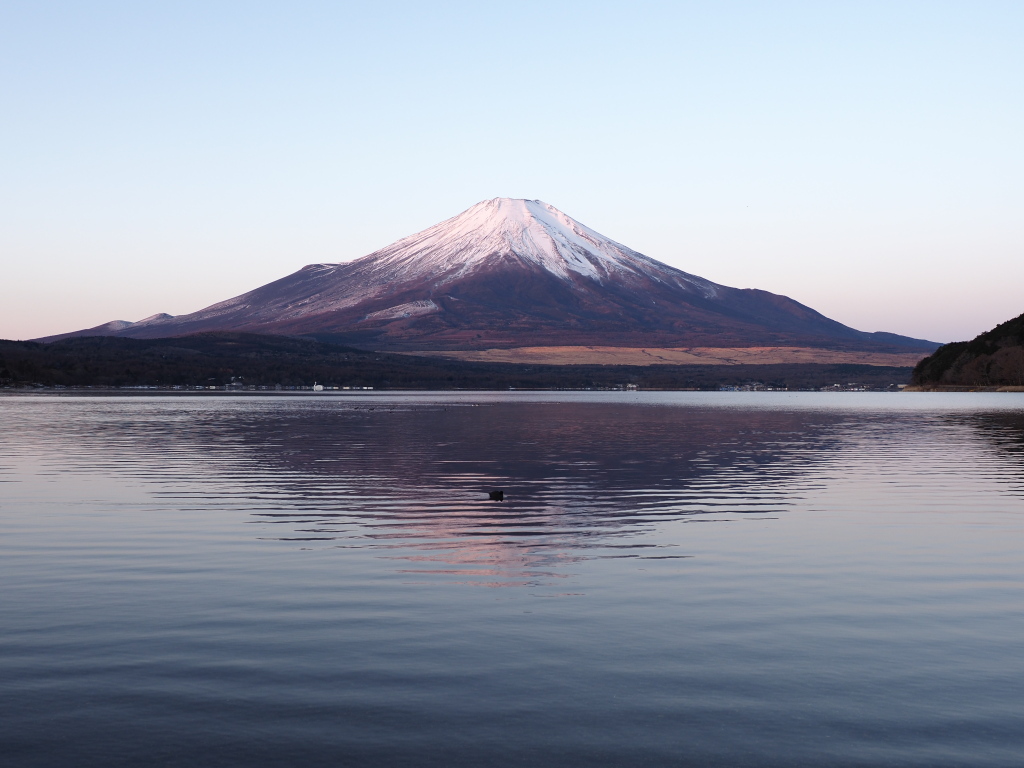 12/20 ���Ă��̕x�m�R