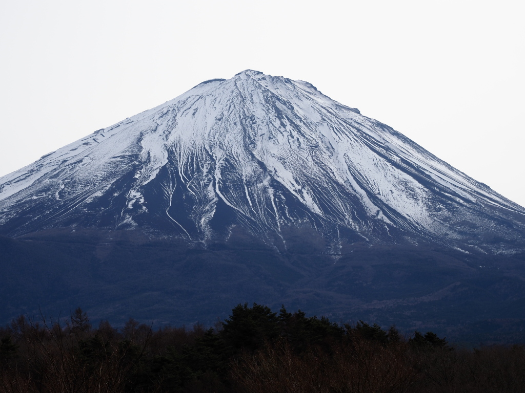 12/20 �򂩂�̕x�m�R