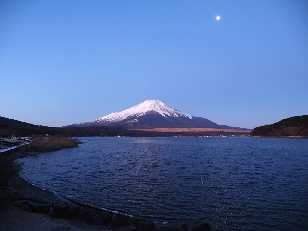 1/17 ���ƕx�m�R