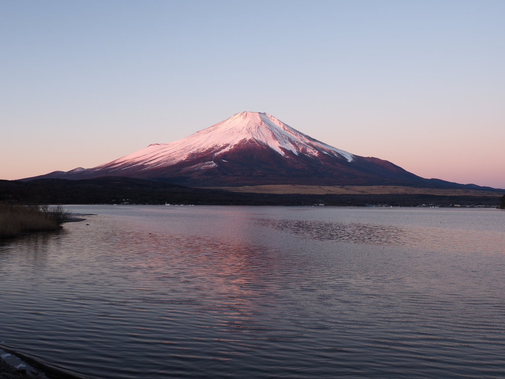 1/17 �s�[�J���̒��Ă�