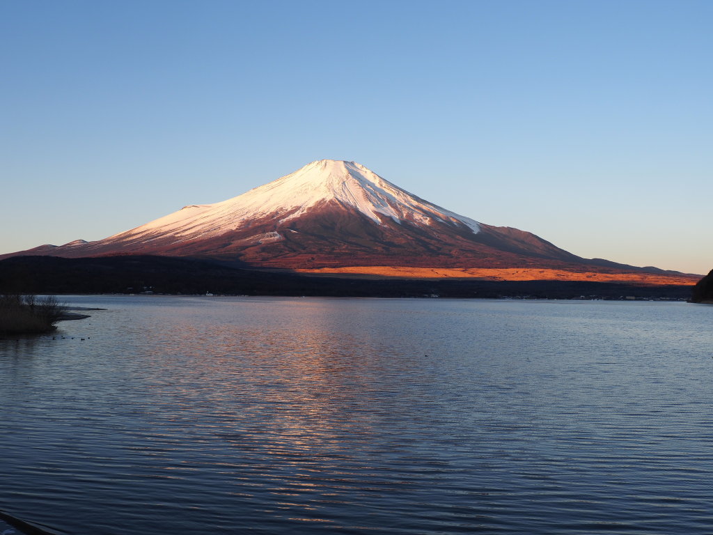 1/17 ���P���Ɍ������