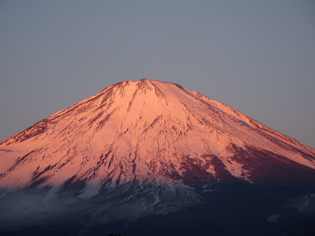 1/18 �����Y�̒��Ă�(2)