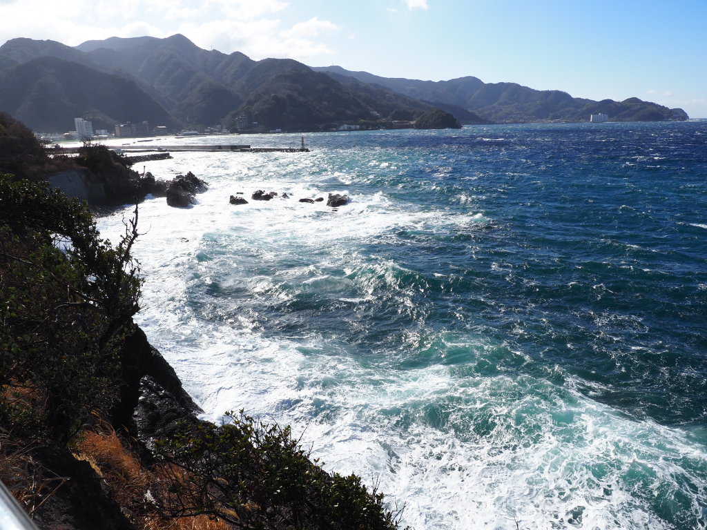 1/30 ��r��̏x�͘p