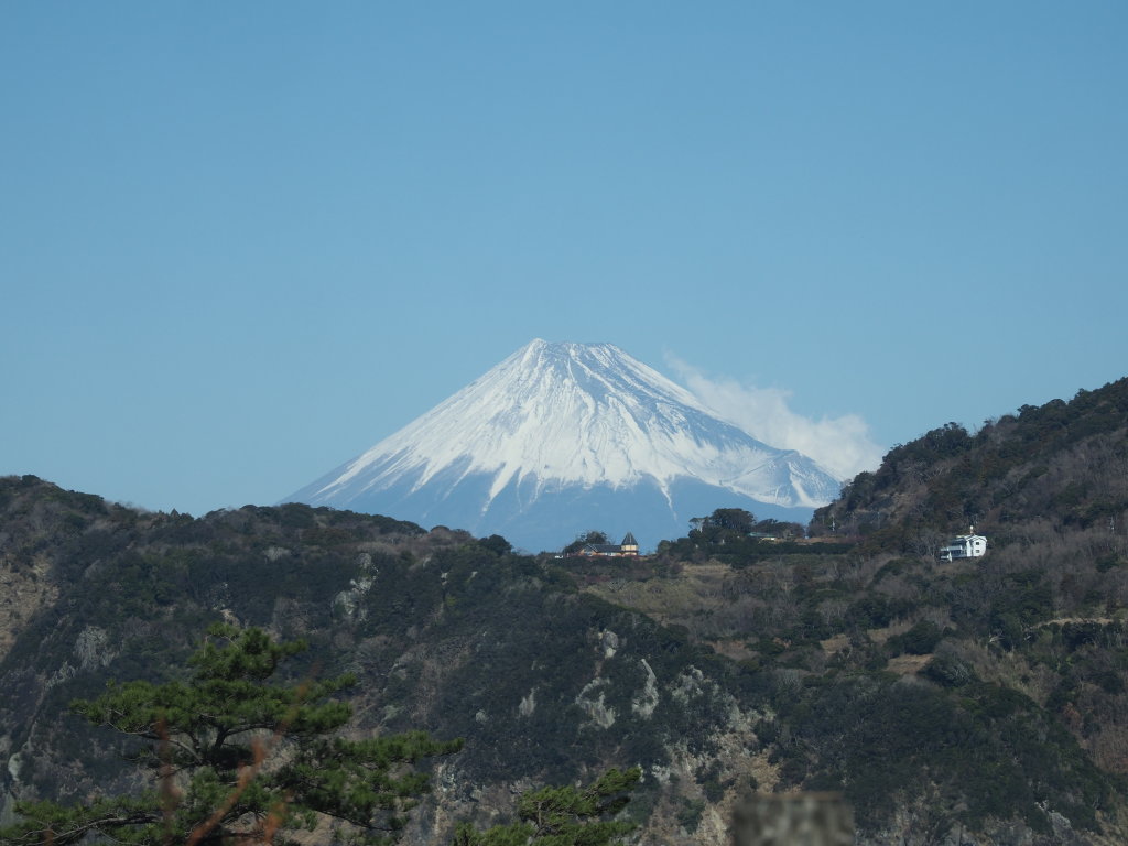 1/30 �����肩��̕x�m�R