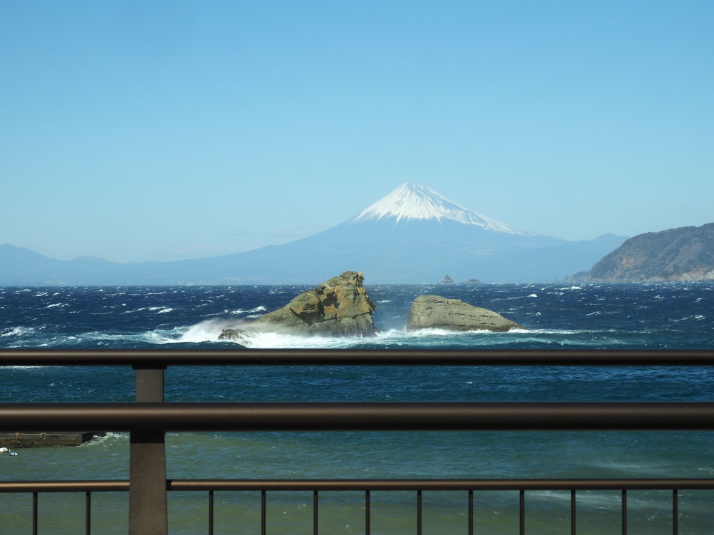 1/30 �_���勴����̕x�m�R