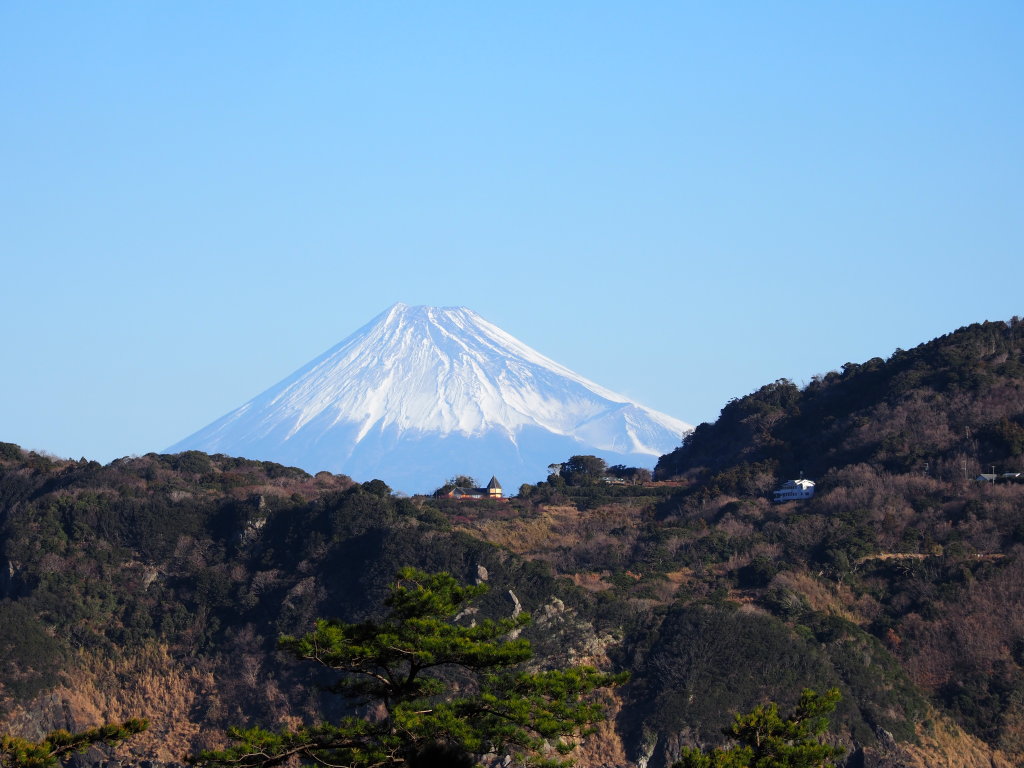 1/31 �����肩��̕x�m�R