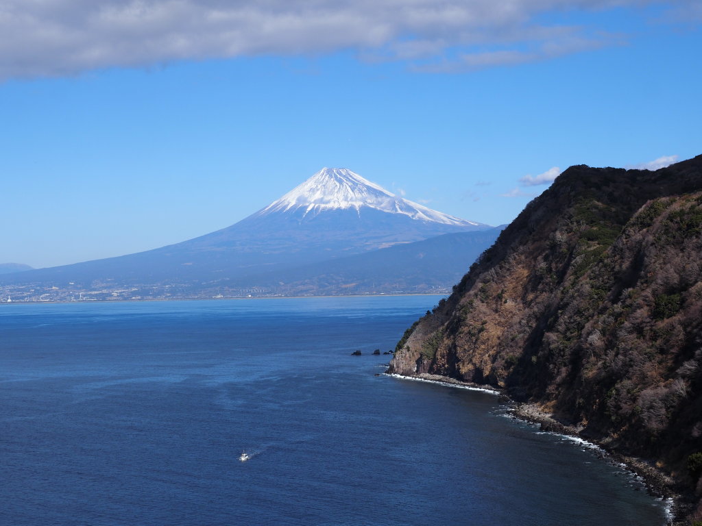 1/31 ����߂��̋u