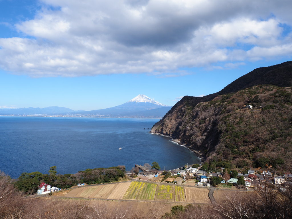 1/31 ����߂��̋u(2)