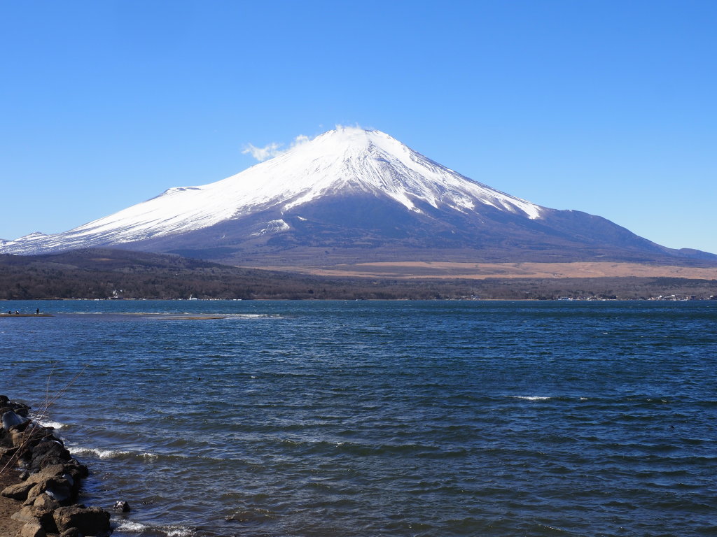 2/26 �_�L����