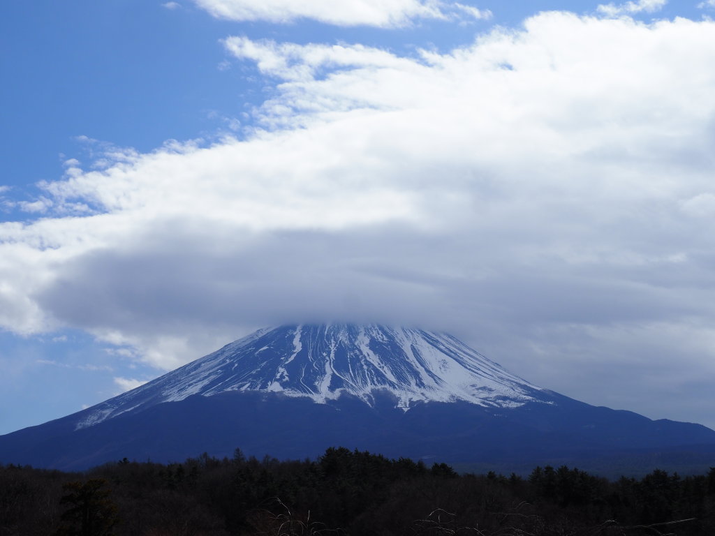 2/28 �򂩂�̕x�m�R