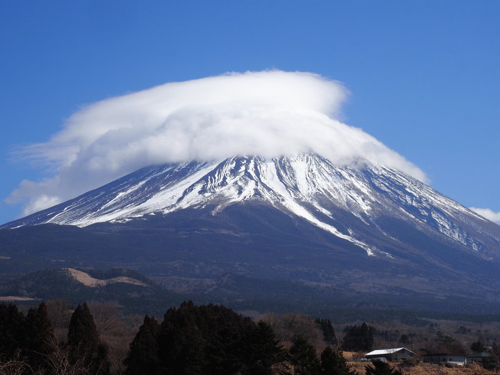 2/28 �x�m�P�䂩��̕x�m�R