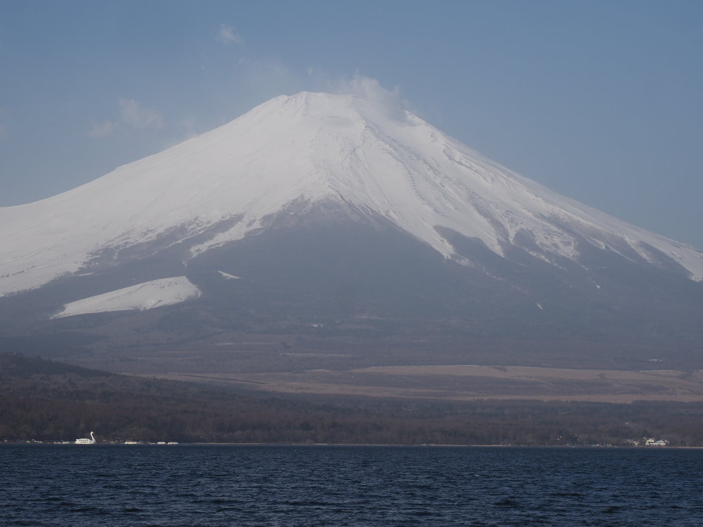 26 �����ł����񂾕x�m�R