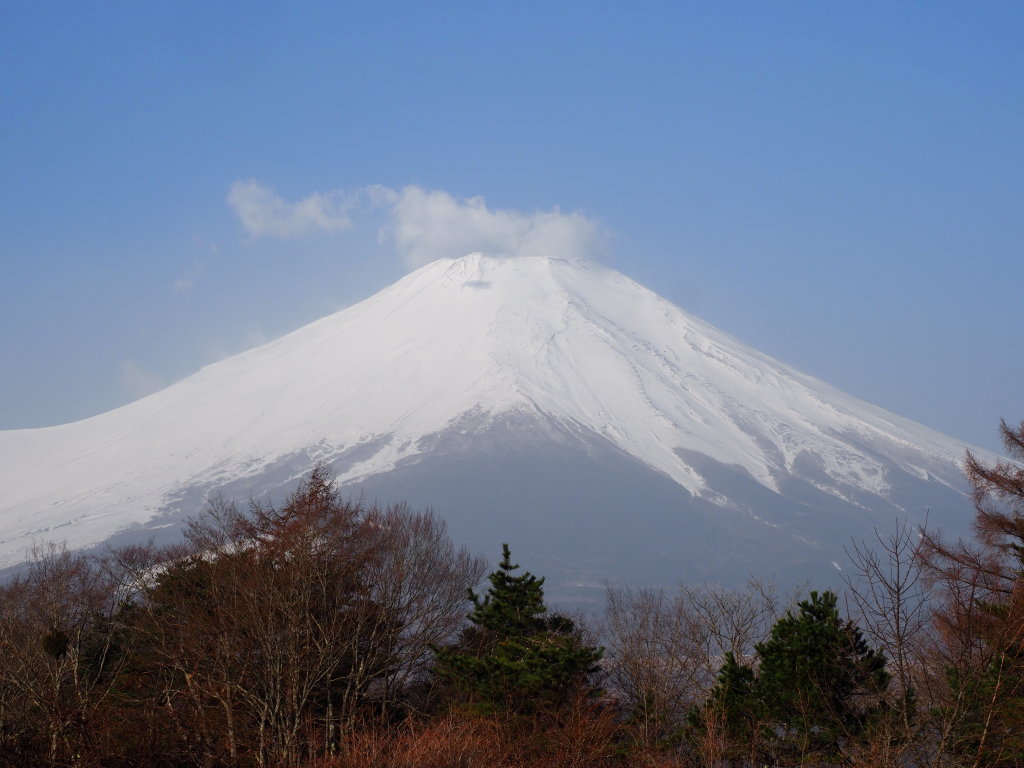 3/26 �_�ƕx�m�R