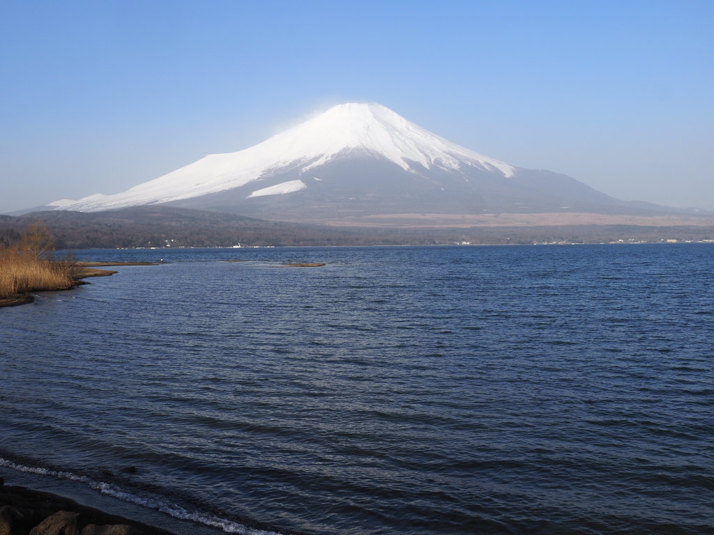 3/26 �L��������̕x�m�R