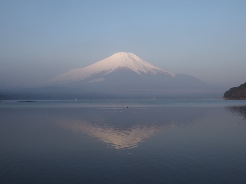 3/27 �t���x�m