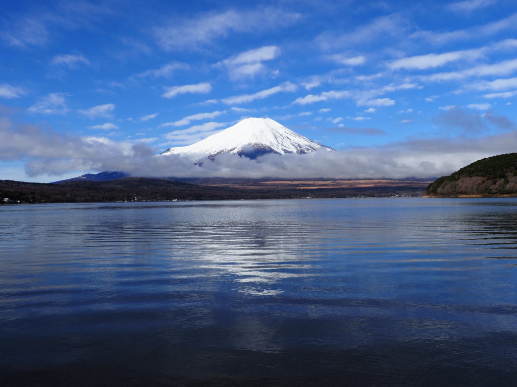 3/28 �J�オ��̕x�m�R