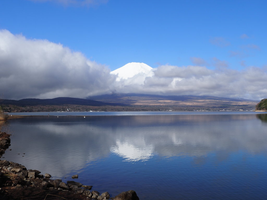 4/14 �� �؂�܂��߂�