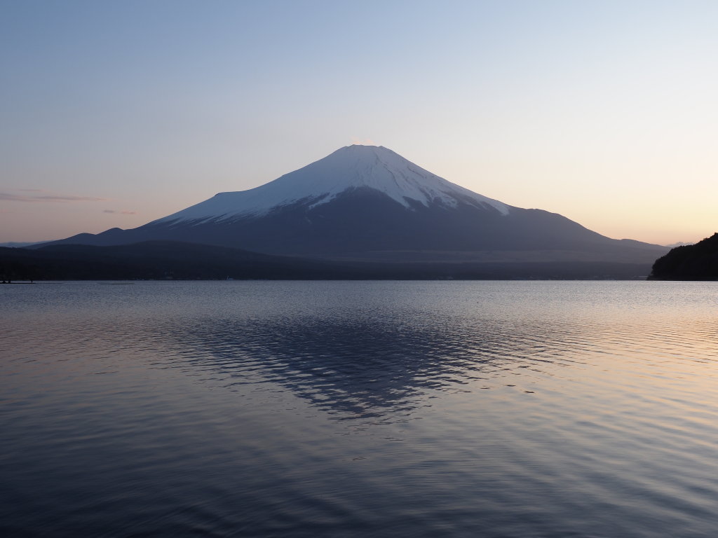 4/14 �Ԃ݂̂Ȃ��x�m�R