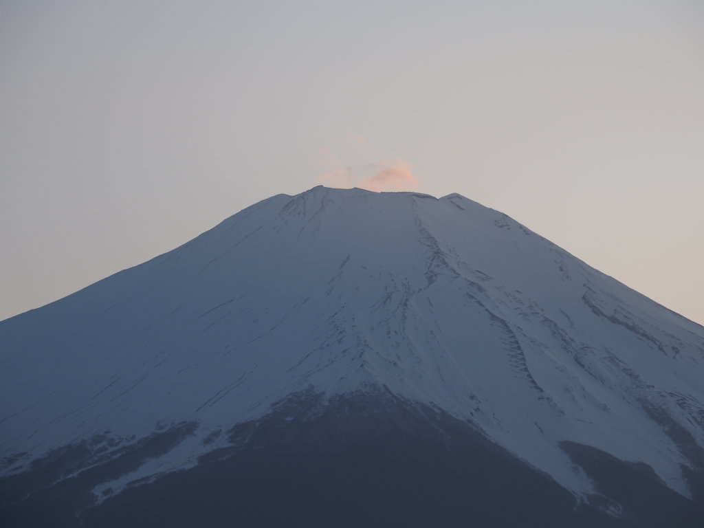 4/14 �R���ق�̂�Ԃ��Ȃ�