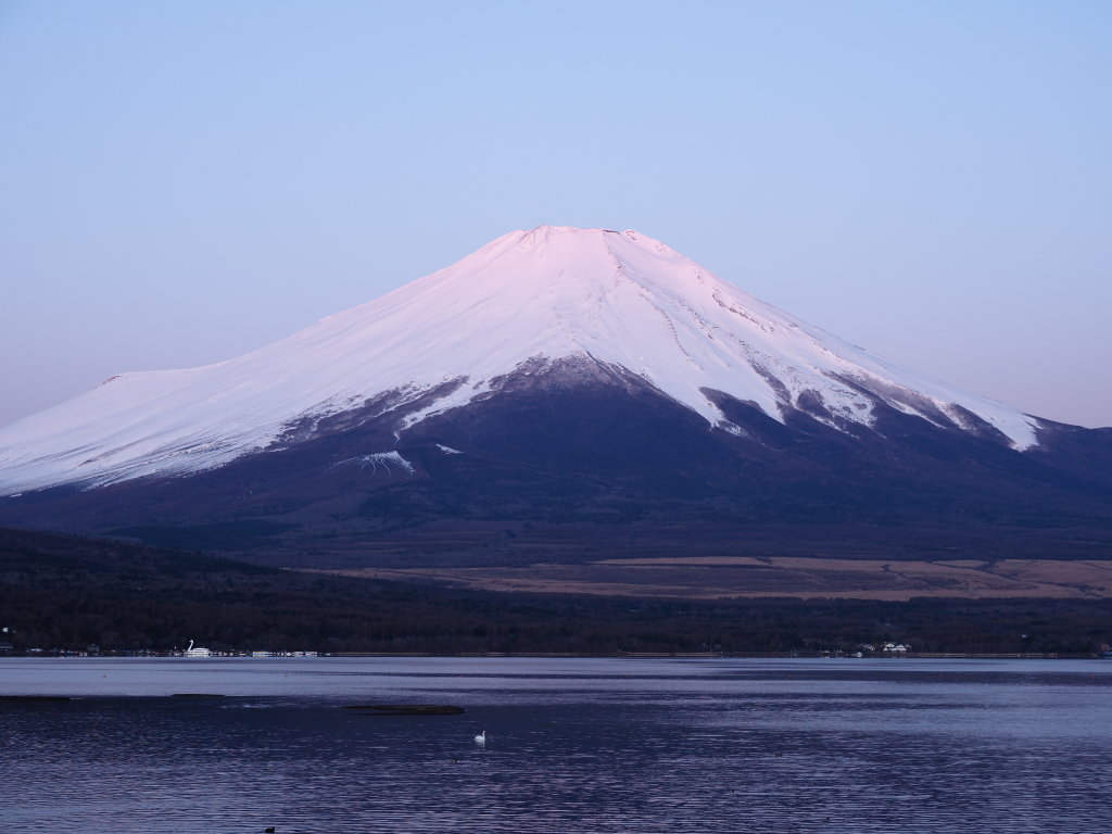 4/16 �Ԃ��Ȃ����̏o