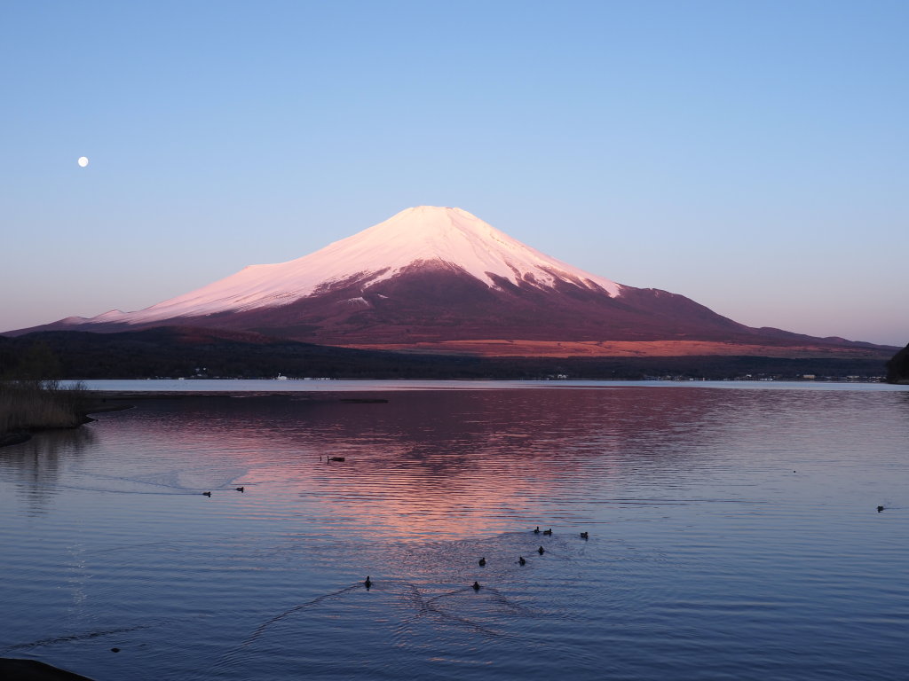 4/16 �s�[�J���̍g�x�m